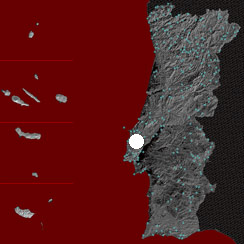 361