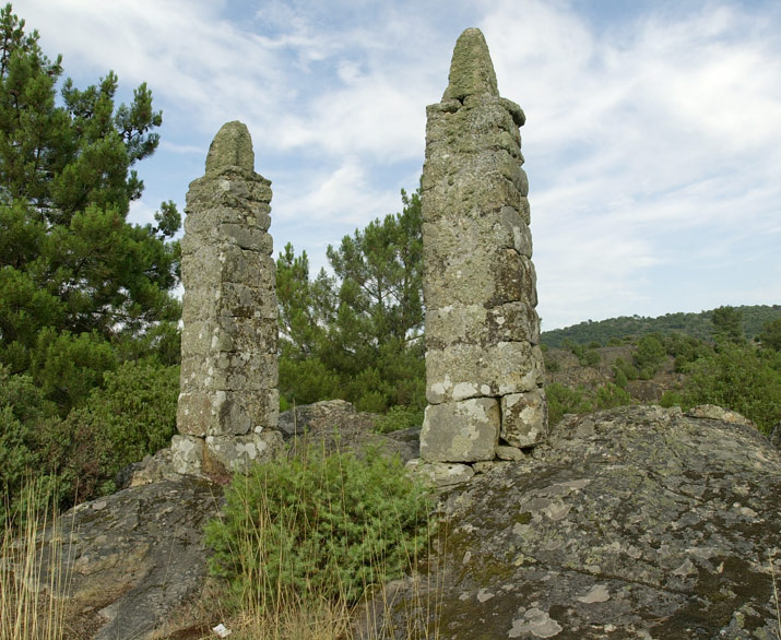 104-fi482492