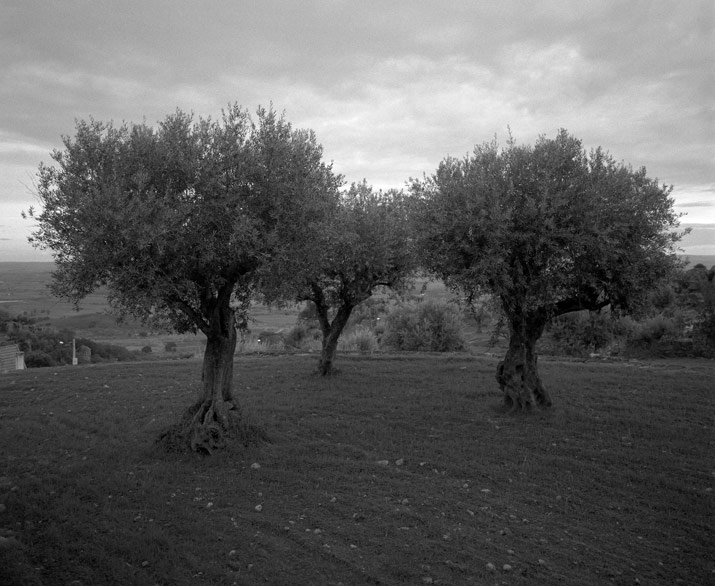 281-na1944-07